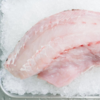 white fish filet on ice