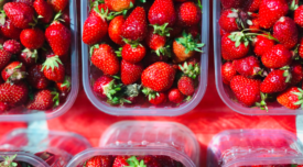 whole strawberries in clear plastic containers