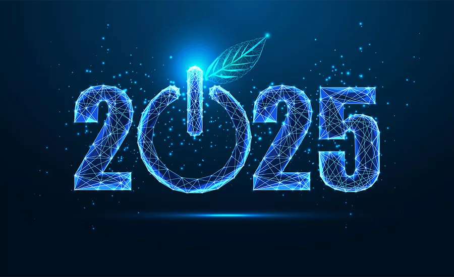 2025 graphic