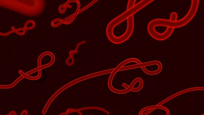 3D illustration of microscopic worms