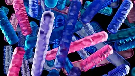 3d rendering of rod shaped bacteria