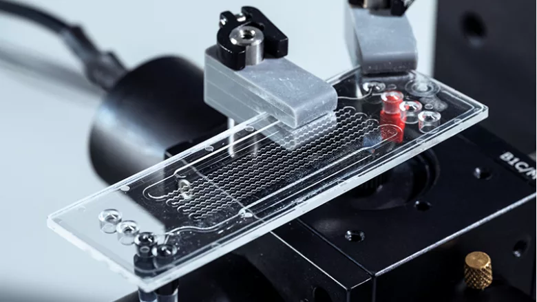 BAM PFAS detection system