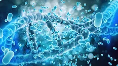 DNA helix and microorganism