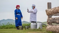 Examination of Milk at Farm in Mongolia by Veterinarian