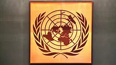 UN symbol