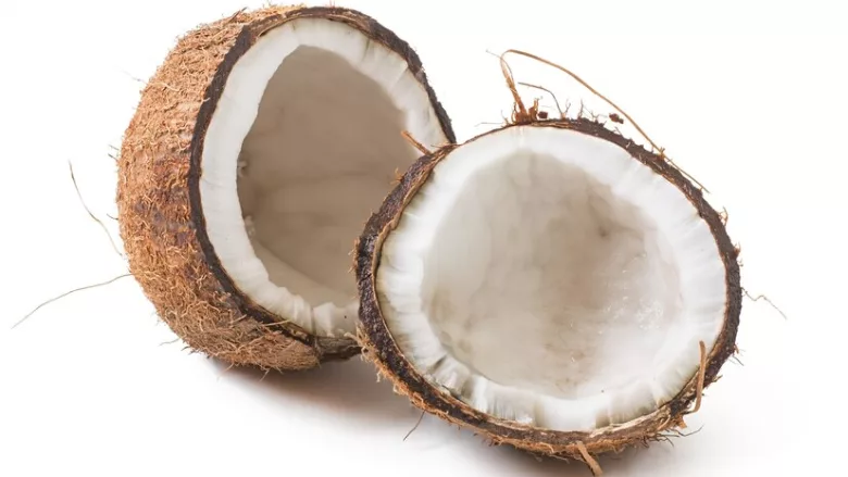coconut split in half
