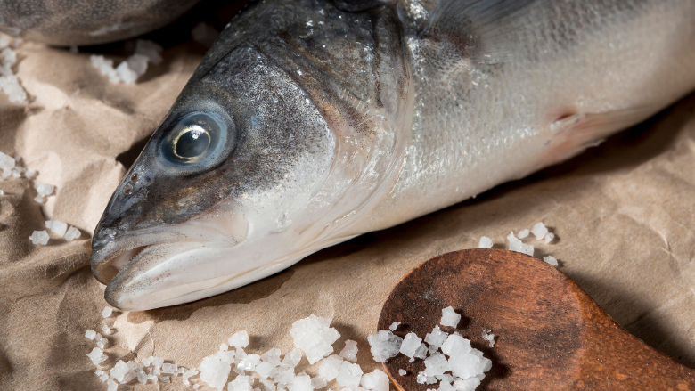 Codex Committee Discussions Held at CAC48 Cover Key Fishery Initiatives – Food Safety Magazine