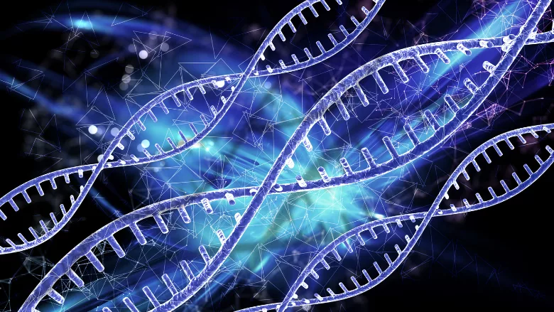 gene editing dna strands