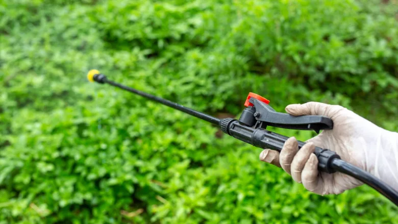 gloved hand spraying pesticides on plants