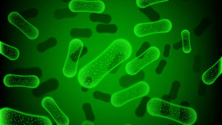 green rod shaped bacteria