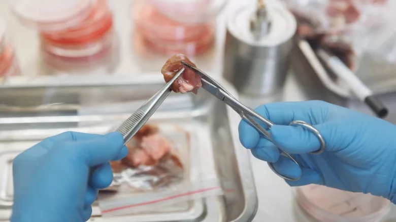 meat in a lab