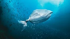 plastic bag the shape of a fish floating in the ocean
