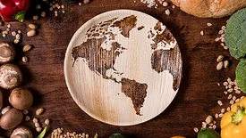 world map plate and food