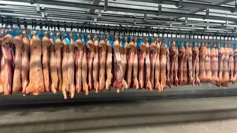 processed swine carcasses pork slaughterhouse
