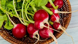 radishes