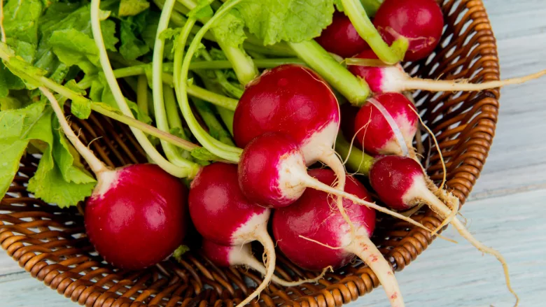 radishes