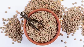 raw green lentil in bowl