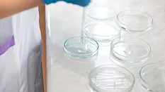 researcher dropping liquid in petri dishes