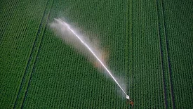 sprinkler watering field