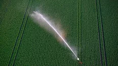 sprinkler watering field