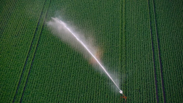 sprinkler watering field
