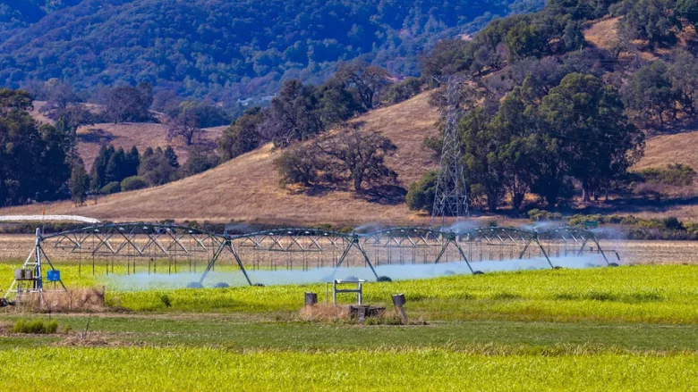 water sprinklers at agricultural field