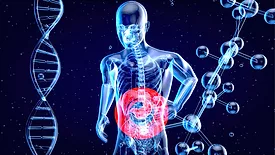 3D rendering of a human anatomy figure highlighting the stomach, next to a DNA strand and chemical molecule structure
