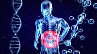 3d art of human stomach, dna strand, chemical molecules_julos via magnific.png 3D rendering of a human anatomy figure highlighting the stomach, next to a DNA strand and chemical molecule structure