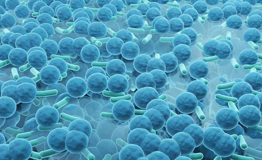 digital 3d rendering of a biofilm
