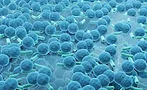 digital 3d rendering of a biofilm