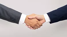 business people handshake