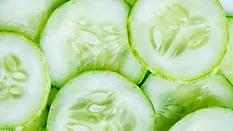 fresh cucumber slices