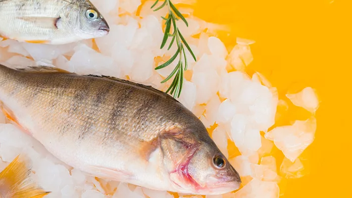 fresh whole fish on ice on yellow table