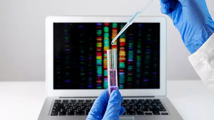 gloved hands holding pipette and tube in front of laptop with genetic sequencing data in background