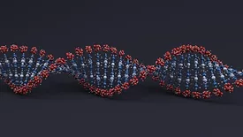 graphic of a dna sequence