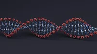 graphic of a dna sequence