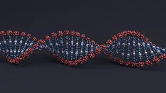 graphic of a dna sequence