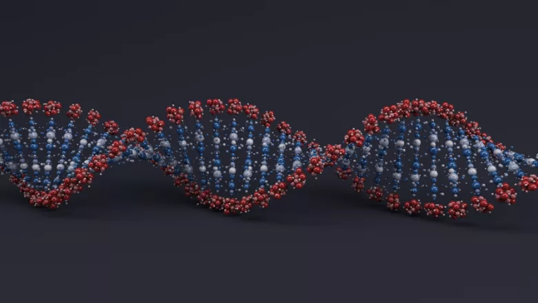 graphic of a dna sequence