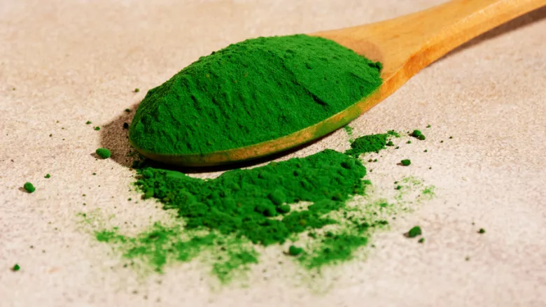 green spirulina powder in wooden spoon