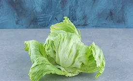 head of iceberg lettuce