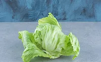 head of iceberg lettuce_azerbaijan_stockers via Magnific.jpg head of iceberg lettuce