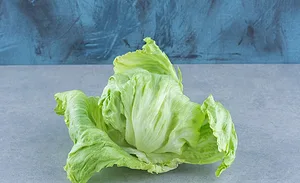 head of iceberg lettuce