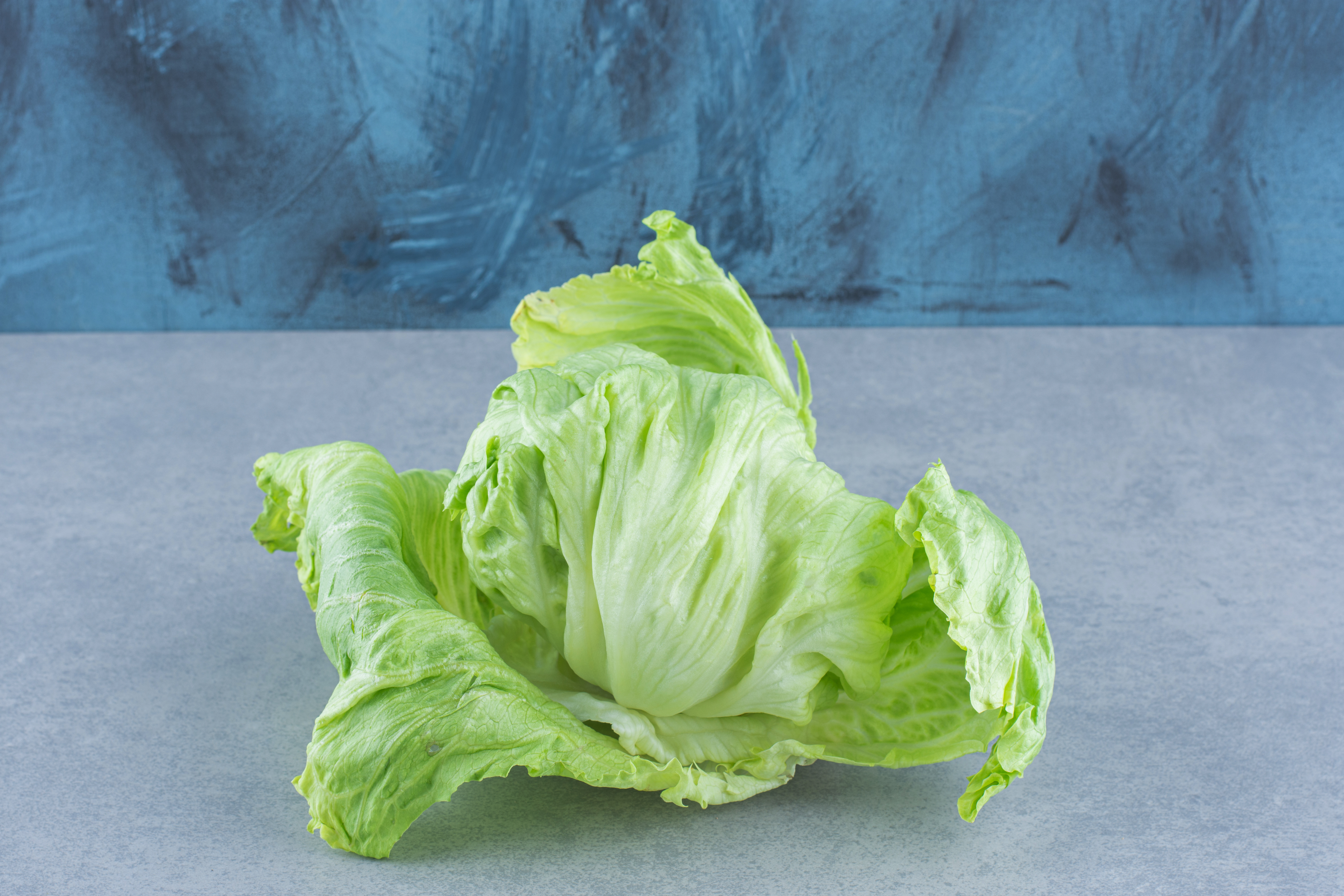 head of iceberg lettuce