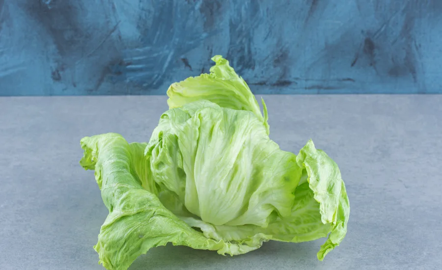 head of iceberg lettuce