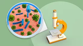 illustration of colony of microorganisms under microscope