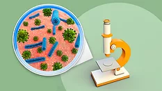 illustration of colony of microorganisms under microscope