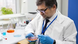 microbiologist working in the lab