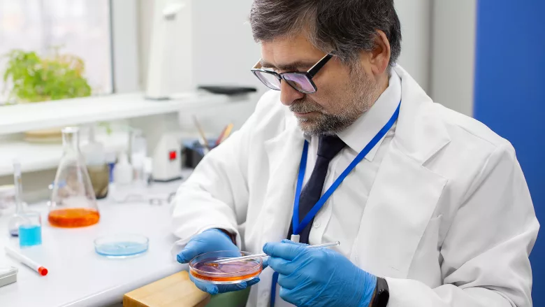 microbiologist working in the lab