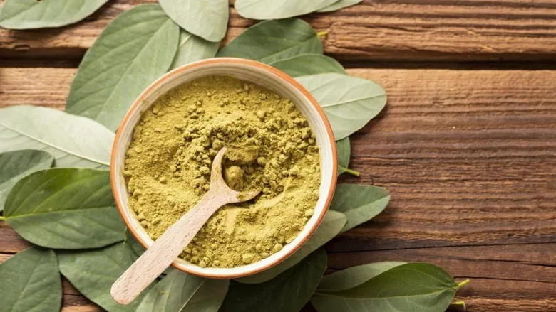 bowl full of green moringa powder with wooden spoon. on wooden table covered in moringa leaves