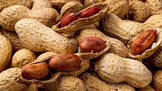 peanuts